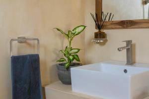 a bathroom with a sink and a potted plant at NETS Cowork & Colive in Ahangama