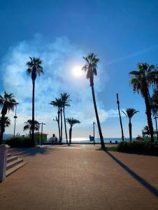 a row of palm trees on a sidewalk near the beach at CASA ALICIA in Torre del Mar