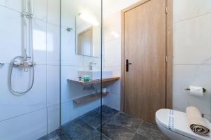 a bathroom with a shower and a toilet and a sink at Sky View Suites Kefalonia in Vóvikes