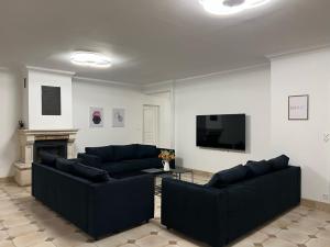 a living room with two couches and a tv at Sweethome – La Jacqueminière in Courtenay