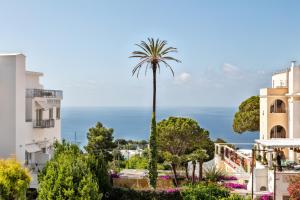 a palm tree in a garden between two buildings at Pazziella Garden & Suites in Capri