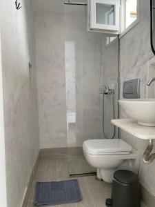 a bathroom with a toilet and a sink at Zinas pension in Ios Chora