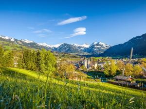 a view of a city with mountains in the background at Top 1 Gartenwohnung in Kitzbühel