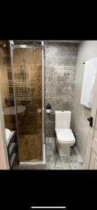La salle de bains est pourvue d'une douche, de toilettes et d'un lavabo. dans l'établissement Apartment VR home hilly side, à Tsaghkadzor