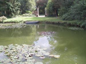 Příroda nedaleko bed and breakfast