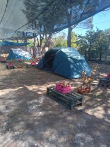 een blauwe tent in een veld met enkele items vooraan bij Glamping Pineta in Paestum