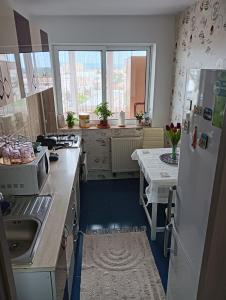 a kitchen with a refrigerator and a table at Hellen Apartament in Târgovişte