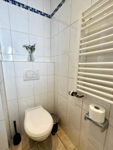 biała łazienka z toaletą i prysznicem w obiekcie 2-Zimmer im Herzen von Göttingen w Getyndze