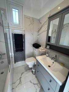 La salle de bains est pourvue d'un lavabo, de toilettes et d'une douche. dans l'établissement Completely renovated villa, à Cap d'Ail
