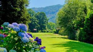 vista su un campo da golf con fiori in primo piano di Villetta Moderna accanto al Centro di Lugano ad Agno