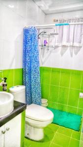 y baño verde y blanco con aseo y ducha. en Melia's House Tagaytay - Nature Home for Rent, en Tagaytay