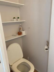 a bathroom with a toilet with shelves on the wall at Raekoja Boutique Residence in Tallinn