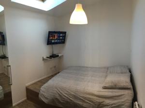 una camera con letto e TV a parete di Apartment Villeurbanne a Villeurbanne