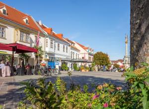 Eine Straße in einer Stadt mit Leuten, die an Tischen sitzen. in der Unterkunft St. Antoni Suite 7 in Eisenstadt