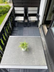 a patio with two chairs and a potted plant at Ferienwohnung Fichtenweg in Winterberg
