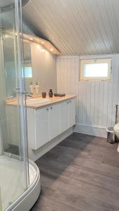 ein Bad mit einer Dusche, einem Waschbecken und einem WC in der Unterkunft Mountoussin · Ferme de charme vue pyrénées avec piscine in Montoussin