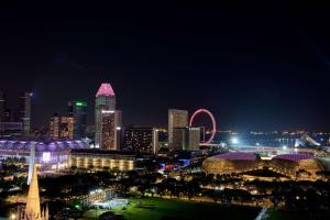 um horizonte da cidade à noite com uma roda gigante em Peninsula Excelsior Singapore, A Wyndham Hotel em Singapura