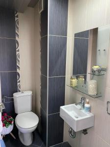 La salle de bains est pourvue de toilettes et d'un lavabo. dans l'établissement Porta Ruzveltova Apartment, à Skopje