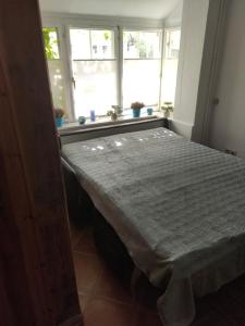 Bett in einem Zimmer mit Fenster in der Unterkunft Altstadtnest in Lüneburg