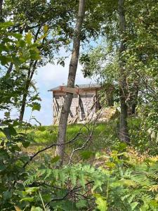 Fotografie z fotogalerie ubytování House with a lovely nature garden close to the sea v destinaci Sörtegen