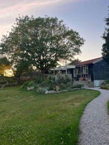 una casa con un árbol delante de un patio en House with a lovely nature garden close to the sea 