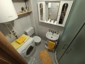 Koupelna v ubytování Apartman U2