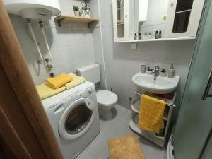 Koupelna v ubytování Apartman U2