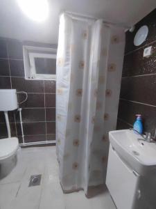 a bathroom with a shower and a toilet and a sink at Apartments Janiki in Kruševo