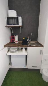 Small and Cozy Rooms - G10 في فالنسيا: مطبخ صغير مع حوض وميكروويف