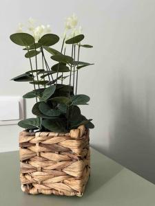 Fotografie z fotogalerie ubytování Apartment Jõesuu v destinaci Narva