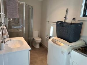 a bathroom with a sink and a shower and a toilet at Gullivers Guest House in East Maitland