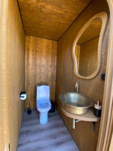 a bathroom with a sink and a toilet at Remote. Forgotten Rivers in Ak-Say