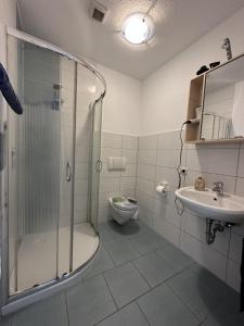 een badkamer met een douche, een toilet en een wastafel bij Ferienwohnung Molly in Brunsbüttel