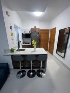 Kuchyň nebo kuchyňský kout v ubytování Apartment in Sto.Dgo, Piantini