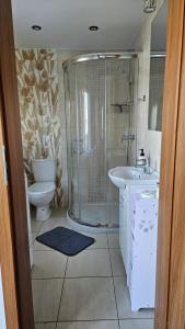 y baño con ducha, lavabo y aseo. en Domki nad Nieliszem- dom kwiatowy en Zamość