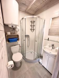 a bathroom with a shower and a toilet and a sink at Domki Laba in Łeba