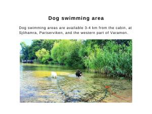 a person and a dog swimming in a river at Boende - Stuga nära naturen, 3 km till Motala centrum, elbilsladdning finns på tomten - privat värd in Motala +37 photos