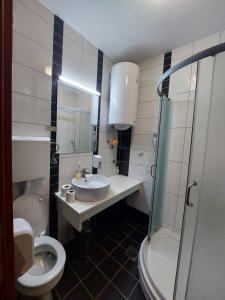 Vrnjačka Banja的住宿－Apartmani Lenka，一间带水槽、卫生间和淋浴的浴室