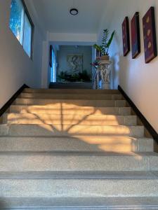 a shadow of a plant on the stairs at Chaweng Residence in Chaweng
