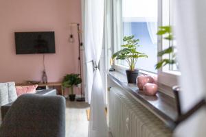 a living room with a radiator and a window with plants at gemütlich und modern - ruhig und zentral in Hünfeld