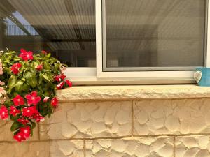 una ventana con flores rojas en una cornisa de piedra en בית בקיבוץ en HaGosherim
