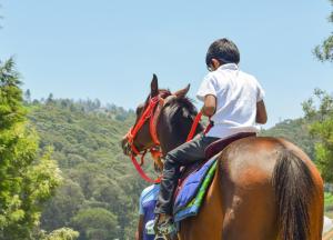 Hosté ubytování Ibex Resorts, Coonoor Leewood