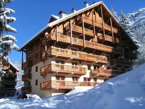 オーズにあるApartment on the slopes in the big ski area Grandes Roussesの雪の大きな建物