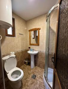 łazienka z toaletą i umywalką w obiekcie Residence: Quku i Valbones w mieście Valbonë