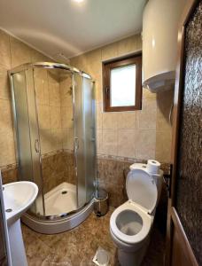 La salle de bains est pourvue d'une douche, de toilettes et d'un lavabo. dans l'établissement Residence: Quku i Valbones, à Valbonë