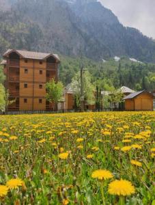 a field of yellow flowers in front of a building at Residence: Quku i Valbones in Valbonë