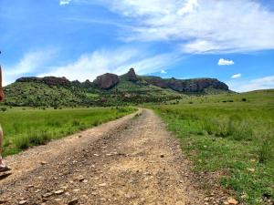 a dirt road through a field with mountains in the background at Mount Everest Guest Farm in Harrismith