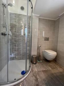 La salle de bains est pourvue d'une douche et de toilettes. dans l'établissement Apartman David, à Rijeka