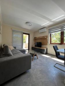 - un salon avec un canapé et une table dans l'établissement Apartman David, à Rijeka