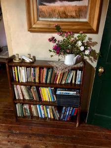 a book shelf filled with books and a vase with flowers at Back o' the Moon Holiday cottage in Hogsback